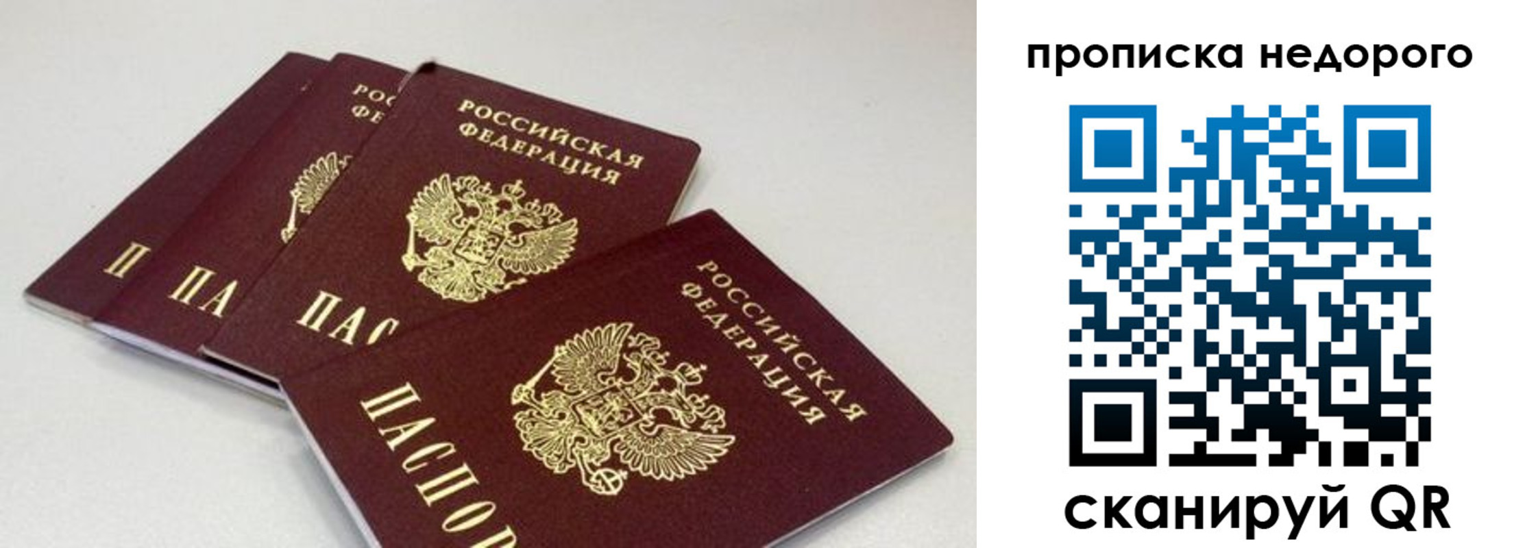 прописка штамп в Приозерске