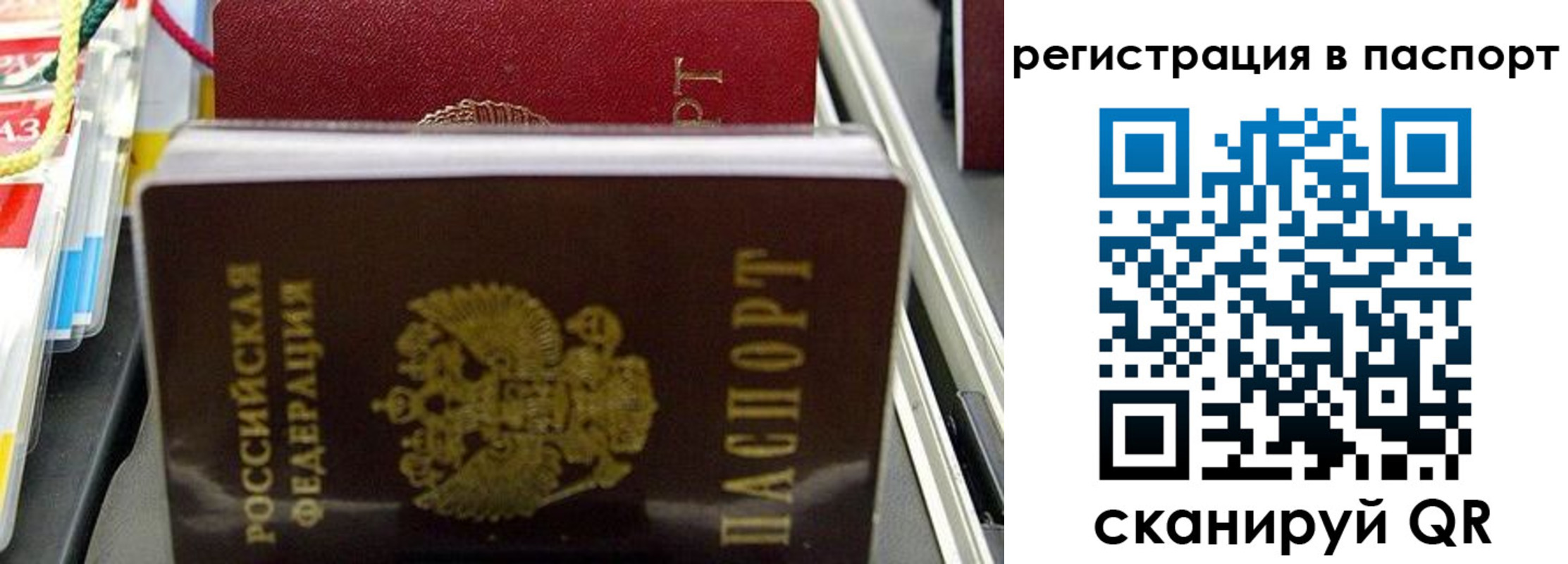 прописка для школы в Приозерске